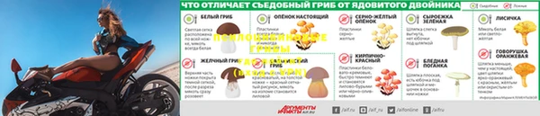 2c-b Белоозёрский