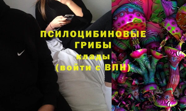 jwh Белокуриха