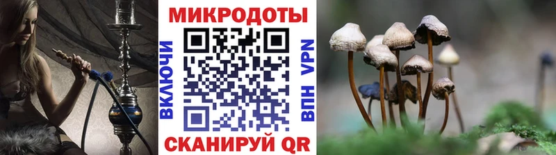 наркота  Волосово  Псилоцибиновые грибы мицелий 